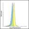 Lymphocyte Activating 3 antibody, SD8839, ProSci, Flow Cytometry image 