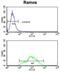 Electron Transfer Flavoprotein Dehydrogenase antibody, abx033036, Abbexa, Flow Cytometry image 