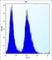 Claudin 2 antibody, abx026928, Abbexa, Western Blot image 