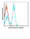 CD28 antibody, 76-729, ProSci, Flow Cytometry image 