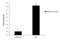 Sp1 Transcription Factor antibody, GTX110593, GeneTex, Chromatin Immunoprecipitation image 