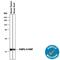 Fatty Acid Binding Protein 4 antibody, AF1443, R&D Systems, Western Blot image 