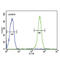 Glucose-6-Phosphate Isomerase antibody, abx034514, Abbexa, Flow Cytometry image 