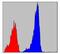 SMAD2 antibody, MA5-15877, Invitrogen Antibodies, Flow Cytometry image 