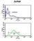 Trafficking Protein Particle Complex 6A antibody, abx032470, Abbexa, Western Blot image 