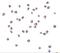 Nucleotide Binding Oligomerization Domain Containing 2 antibody, GTX31664, GeneTex, Immunofluorescence image 