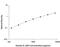 Interferon Lambda 2 antibody, AF1587, R&D Systems, Enzyme Linked Immunosorbent Assay image 