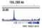 E1A Binding Protein P300 antibody, 54062S, Cell Signaling Technology, Chromatin Immunoprecipitation image 