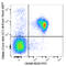 Carcinoembryonic Antigen Related Cell Adhesion Molecule 1 antibody, 134529, BioLegend, Flow Cytometry image 