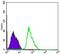 Protein Kinase AMP-Activated Catalytic Subunit Alpha 1 antibody, MA5-15815, Invitrogen Antibodies, Flow Cytometry image 