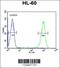 Macoilin 1 antibody, 61-728, ProSci, Flow Cytometry image 