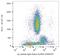 Ig lambda-1 chain C regions antibody, AM12139PU-N, Origene, Flow Cytometry image 