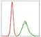 Potassium Voltage-Gated Channel Subfamily Q Member 1 antibody, NBP2-37538, Novus Biologicals, Flow Cytometry image 