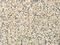 RASD Family Member 2 antibody, CSB-PA249540, Cusabio, Immunohistochemistry paraffin image 