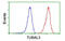 Tubulin Alpha Like 3 antibody, MBS832717, MyBioSource, Flow Cytometry image 