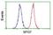 SPG7 Matrix AAA Peptidase Subunit, Paraplegin antibody, NBP2-01860, Novus Biologicals, Flow Cytometry image 