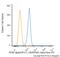 Peroxisome Proliferator Activated Receptor Alpha antibody, NB300-537AF647, Novus Biologicals, Flow Cytometry image 