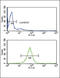 Rho GDP Dissociation Inhibitor Alpha antibody, LS-C156475, Lifespan Biosciences, Flow Cytometry image 