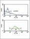 Progressive ankylosis protein homolog antibody, PA5-26745, Invitrogen Antibodies, Flow Cytometry image 