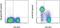 CD38 Molecule antibody, 25-0381-82, Invitrogen Antibodies, Flow Cytometry image 