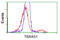 Thromboxane A Synthase 1 antibody, TA501380, Origene, Flow Cytometry image 