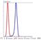 Phosphoinositide-3-Kinase Regulatory Subunit 2 antibody, NBP2-67504, Novus Biologicals, Flow Cytometry image 