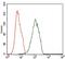 Integrin Linked Kinase antibody, GTX60645, GeneTex, Flow Cytometry image 