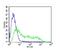 Ribosomal Protein SA antibody, NB200-631, Novus Biologicals, Flow Cytometry image 