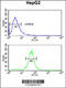 Arginine-Glutamic Acid Dipeptide Repeats antibody, 64-206, ProSci, Flow Cytometry image 