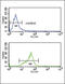 G Protein Subunit Alpha O1 antibody, 63-797, ProSci, Flow Cytometry image 