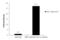 Nuclear Factor, Erythroid 2 Like 2 antibody, GTX103322, GeneTex, Chromatin Immunoprecipitation image 