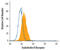 Endothelin Receptor Type B antibody, AF4496, R&D Systems, Flow Cytometry image 