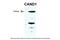 Cullin Associated And Neddylation Dissociated 1 antibody, PA5-40932, Invitrogen Antibodies, Western Blot image 