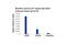 GATA Binding Protein 6 antibody, 5851P, Cell Signaling Technology, Chromatin Immunoprecipitation image 