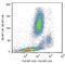 Basigin (Ok Blood Group) antibody, GTX79917, GeneTex, Flow Cytometry image 