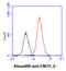 Enolase 2 antibody, GTX57673, GeneTex, Flow Cytometry image 