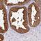WD Repeat Domain 92 antibody, NBP1-92595, Novus Biologicals, Immunohistochemistry paraffin image 