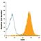 CD9 Molecule antibody, FAB5218A, R&D Systems, Flow Cytometry image 