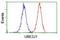 Ubiquitin Conjugating Enzyme E2 J1 antibody, NBP2-45402, Novus Biologicals, Flow Cytometry image 