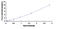 Heparan Sulfate 6-O-Sulfotransferase 1 antibody, MBS2023531, MyBioSource, Enzyme Linked Immunosorbent Assay image 