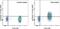 CD247 Molecule antibody, 17-2478-42, Invitrogen Antibodies, Flow Cytometry image 