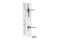 GATA Zinc Finger Domain Containing 2A antibody, 19388S, Cell Signaling Technology, Western Blot image 