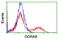 Golgin, RAB6 Interacting antibody, LS-C174110, Lifespan Biosciences, Flow Cytometry image 