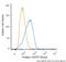 Perilipin 2 antibody, NB110-40878B, Novus Biologicals, Flow Cytometry image 