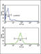 Rho GDP Dissociation Inhibitor Alpha antibody, 61-586, ProSci, Flow Cytometry image 