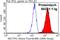 Secreted and transmembrane protein 1 antibody, 60281-1-Ig, Proteintech Group, Flow Cytometry image 