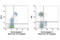 Toll Like Receptor 9 antibody, 14279S, Cell Signaling Technology, Flow Cytometry image 