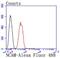 Neural Cell Adhesion Molecule 1 antibody, NBP2-66968, Novus Biologicals, Flow Cytometry image 