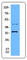 TNF Receptor Superfamily Member 6b antibody, 333202, BioLegend, Western Blot image 