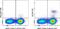 Dendritic cell antibody, 12-5884-81, Invitrogen Antibodies, Flow Cytometry image 